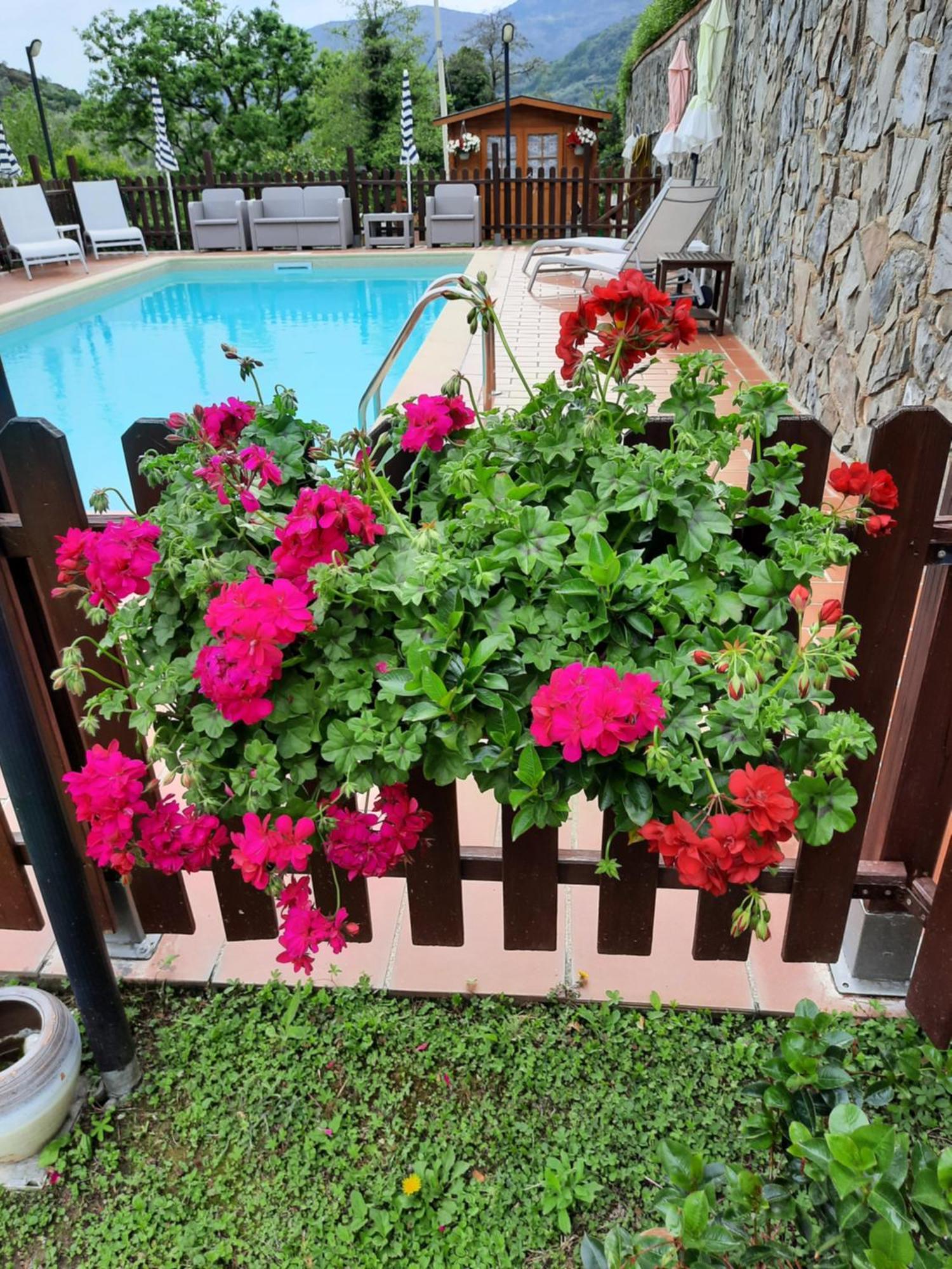 B&B Vignola Леванто Экстерьер фото